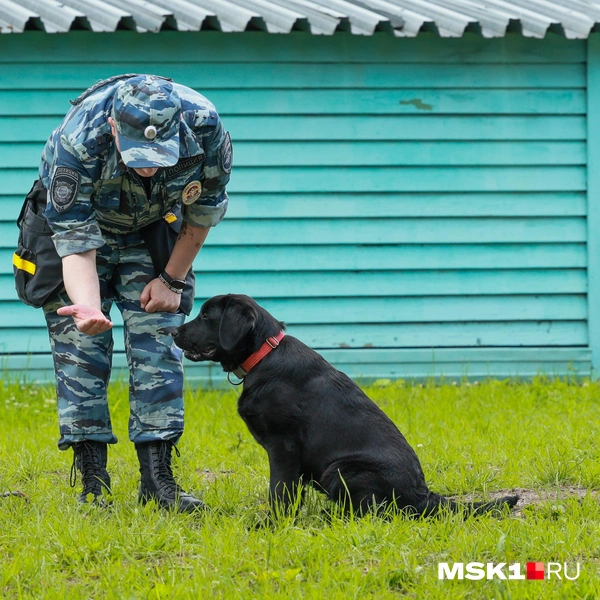 Источник: Артем Устюжанин / MSK1.RU