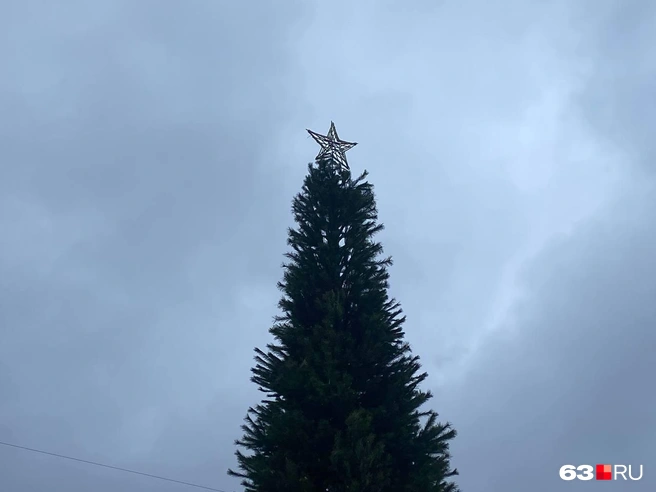 Пока что из украшений только звезда, но это временно  | Источник: Ксения Бирюкова / 63.RU 