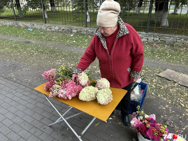 Можно собрать букет и самому. Веточки гортензии отдают по 80 рублей за штуку | Источник: Михаил Шилкин 