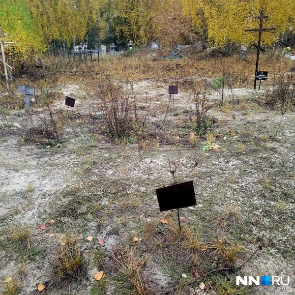 Источник: Кристина Калинина / NN.RU