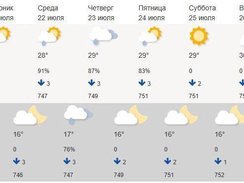 По прогнозам, 26 июля в Тюмени будет до +30°C | Источник: meteoinfo.ru