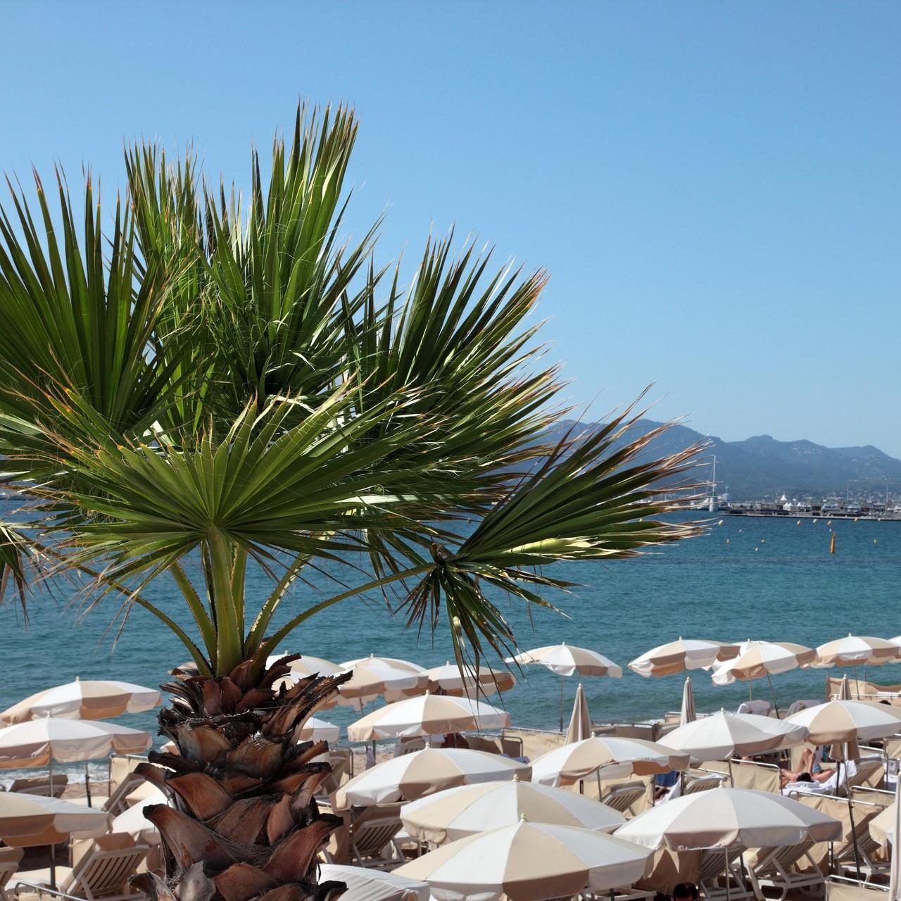 Россиянка бесследно исчезла в Турции при загадочных обстоятельствах, оставив в отеле 12-летнего сына