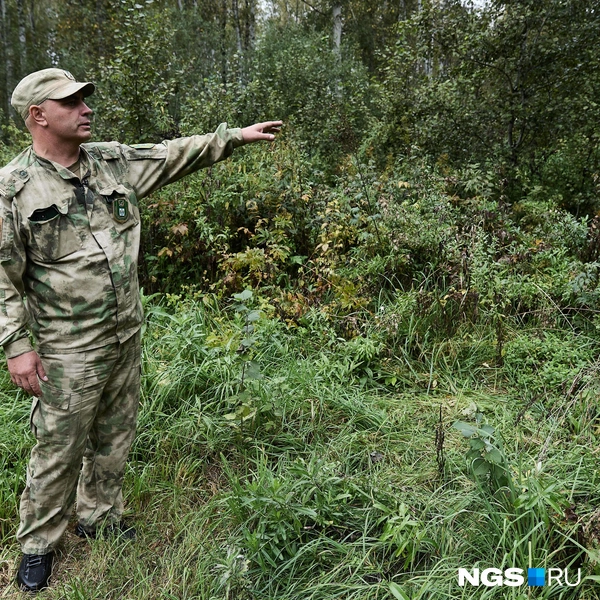 С ходу понять, где проходит медвежья тропа, может только опытный человек. Но и ему ходить ею не нужно: даже если косолапый не разозлится, а испугается, его испуг может обернуться трагедией | Источник: Александр Ощепков / NGS.RU