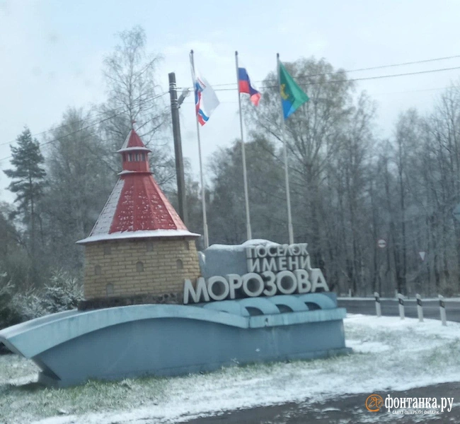 Источник: читательница «Фонтанки» Жанна Хорошилова
