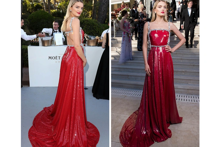 Лили Дональдсон на благотворительном вечере amfAR  | Источник: gettyimages.com