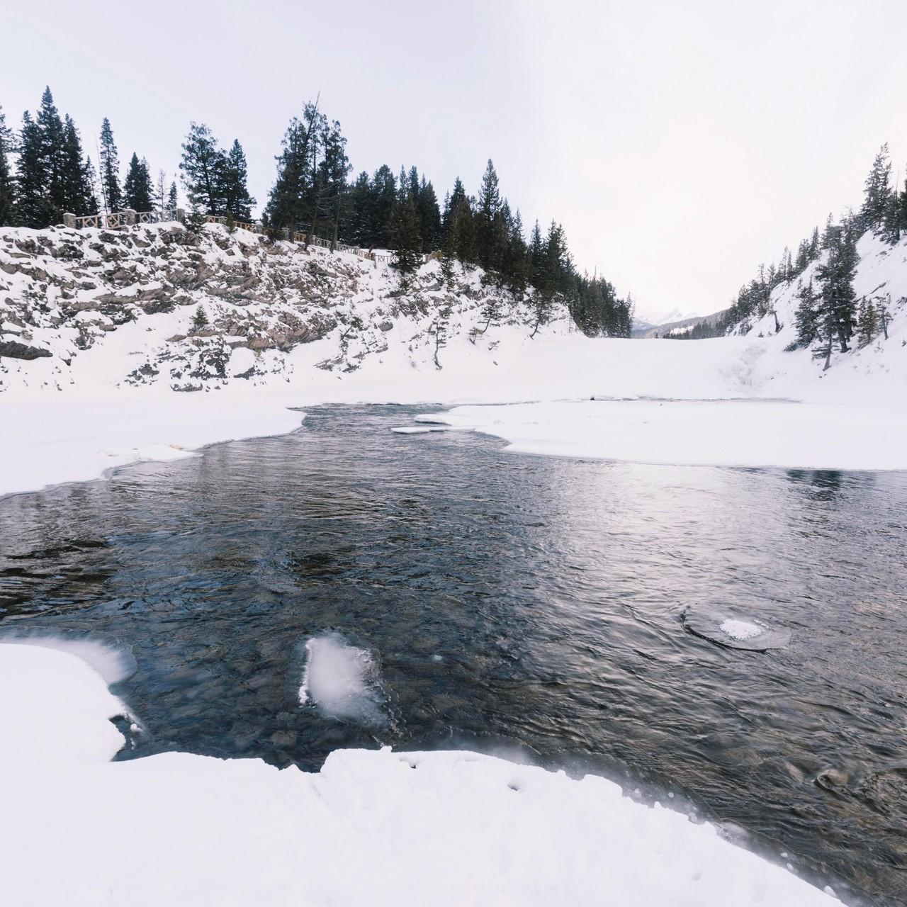 Спасатели ищут троих детей, пропавших в Звенигороде: первые кадры и видео