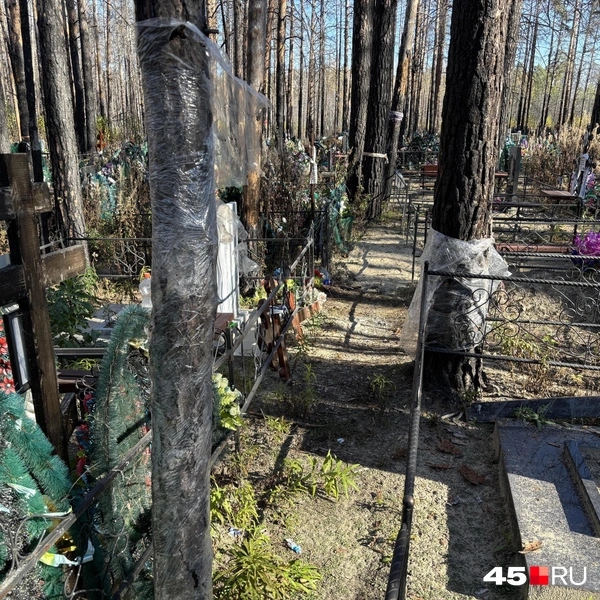 Источник: Кирилл Митин