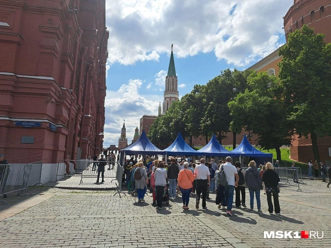 В этот раз рамки накрыли синими шатрами | Источник: Арина Майорова / MSK1.RU