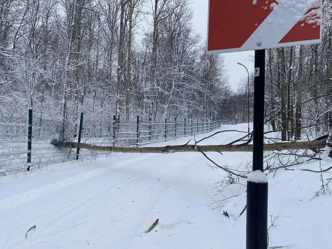 Источник: ГАУ ДО «СШ „Чайка“» / T.me