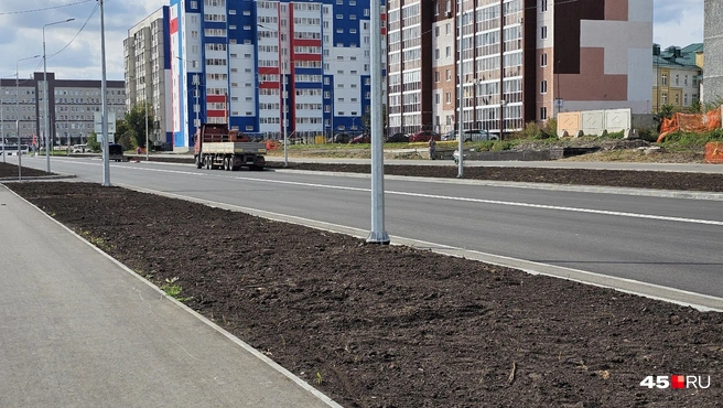 Вдоль дороги газоны засеют декоративной травой | Источник: Дарья Никитченко / 45.RU