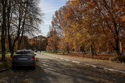 Теплая неделя с дождями в Нижнем Новгороде