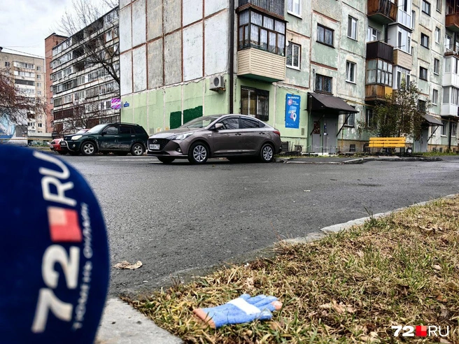 Перчатку никто не терял? | Источник: Павел Красоткин / 72.RU