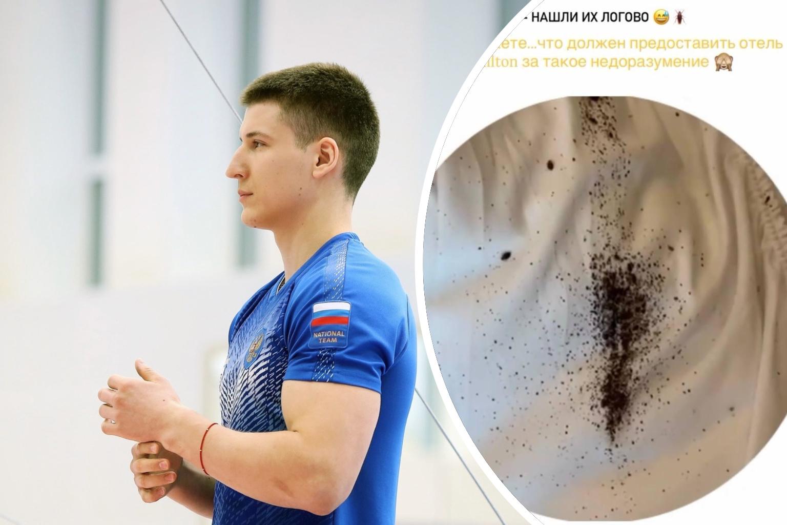 Тренера сборной России по спортивной гимнастике из Волгограда искусали клопы в отеле Роттердама — в…