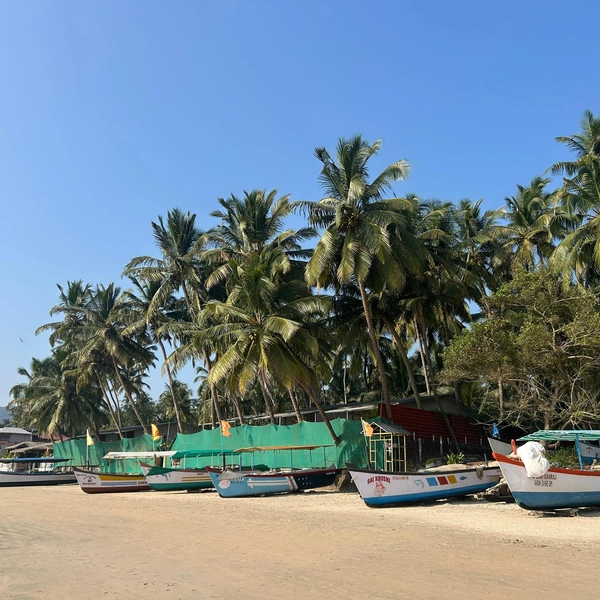 Источник: Софья Золотухина