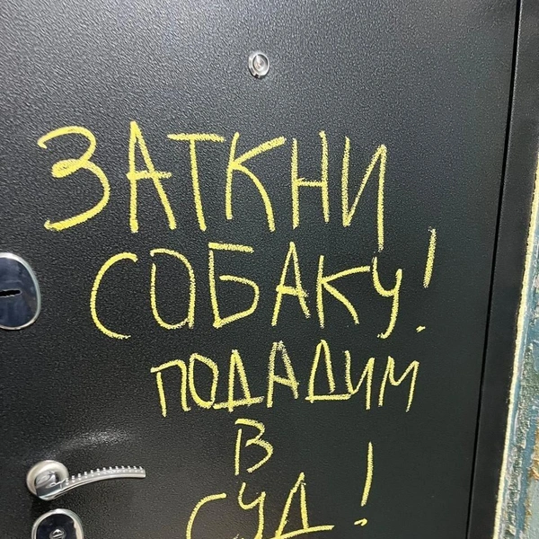Источник: «[ПВК] Подслушано в Кольцово ЕКАТЕРИНБУРГ» / Vk.com