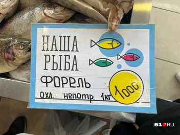Источник: Александра Балаба