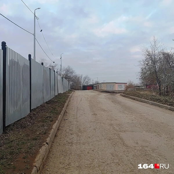 Источник: Сергей Гендин / 164.RU