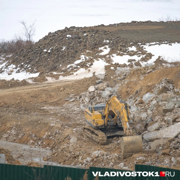 Источник: Елена Буйвол / VLADIVOSTOK1.RU