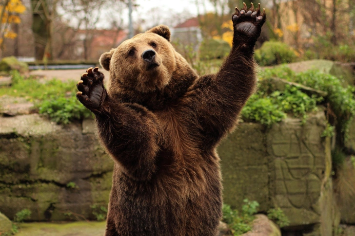 Источник: Svetlana Jakuba via Shutterstock/Fotodom.ru
