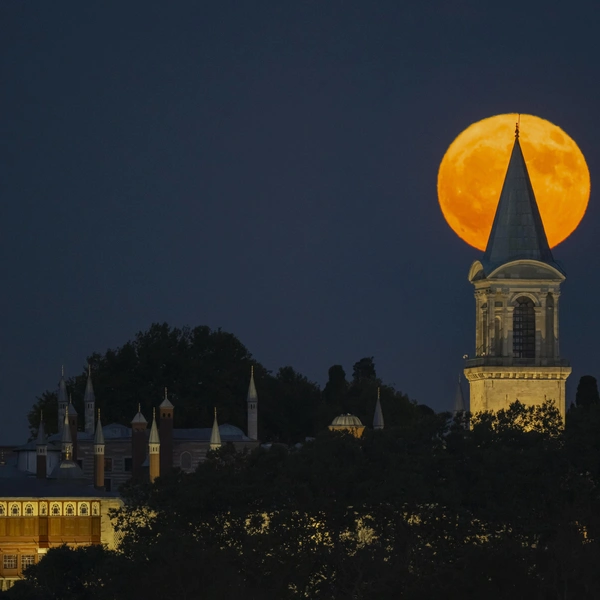 Турция, Стамбул | Источник: Isa Terli/Anadolu via Getty Images