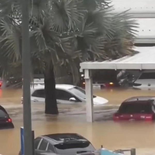 Источник: WION / YouTube