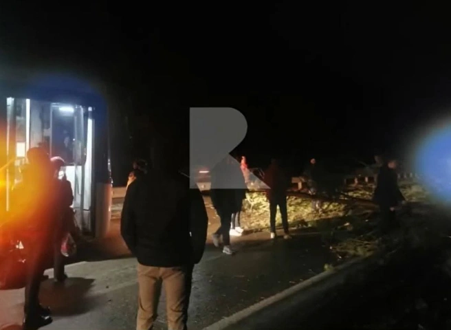 На Солотчинском шоссе дерево упало прямо перед рейсовым автобусом | ya62.ru