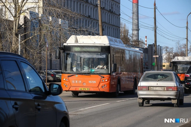 Мелочь и купюры в автобусе больше не пригодятся | Источник: Наталья Бурухина / NN.RU