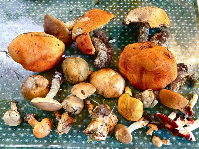 Источник: Наталья Богданова