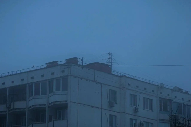 Заметили одинокую птицу на крыше? | Источник: Алексей Сапицкий