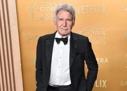 Харрисон Форд так сильно больно, что в последнюю минуту отменил свое выступление на «Оскаре-2025»