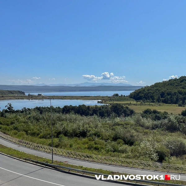 Источник: Елена Буйвол / VLADIVOSTOK1.RU