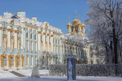 В Царском Селе улучшили мобильную связь и интернет