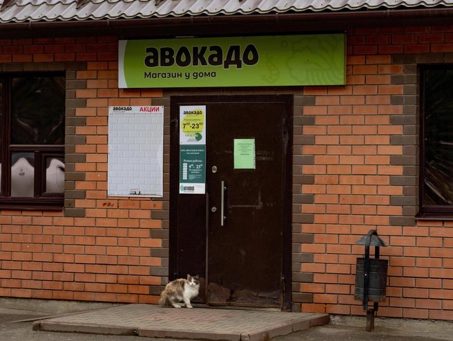 Пушистый обитатель ожидает угощения от прохожих | Источник: Кирилл Поверинов / 76.RU