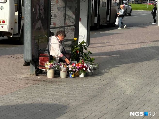 Торговцев цветами можно найти и на площади Маркса  | Источник: Павел Пешков / NGS.RU