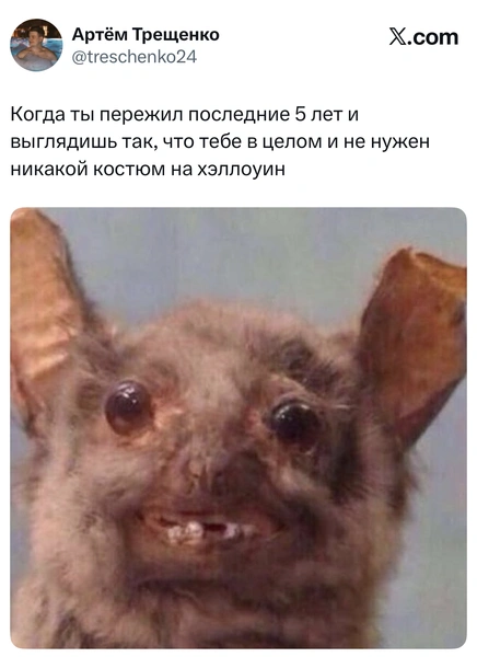 Источник: Twitter (X)