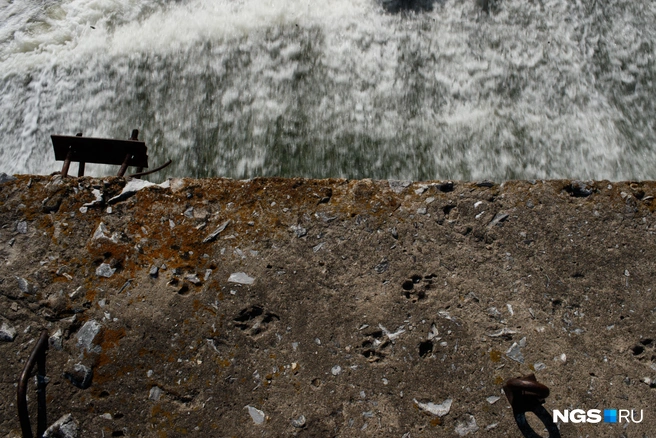Кто наследил на дамбе ГЭС, легко понять: по свежему бетону прогулялась собака. А вот узнать, кто сегодня на законном основании ходит по правому берегу Берди поблизости от плотины — непростая задача | Источник: Андрей Бортко / NGS.ru