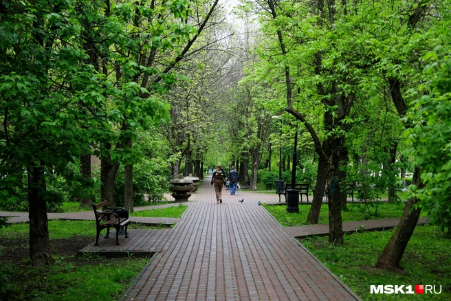 Сходненский народный парк лаконичен в благоустройстве, но богат зеленью | Источник: Артем Устюжанин / MSK1.RU