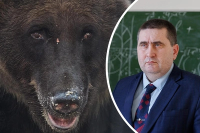 Биолог назвал причины частых нападений медведей на людей