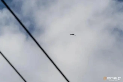 Sochi Mayor Details Aftermath of Drone Attack on Resort