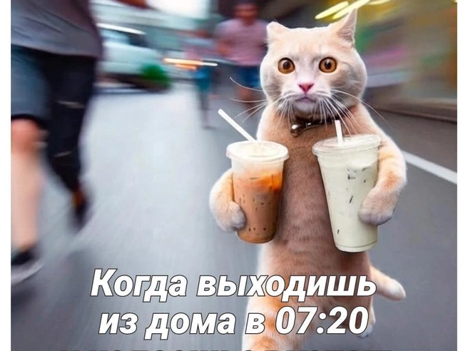 Невыполнимая задача | Источник: Полина Авдошина / Городские медиа