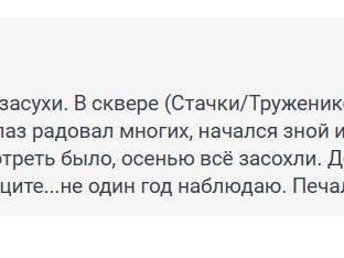 Источник: 161.RU