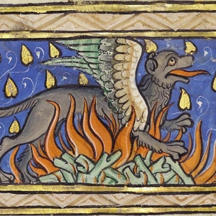 Миф и правда об огненной саламандре: может ли существовать животное, которому не страшно пламя?