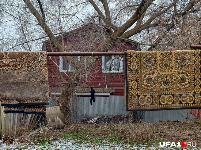 А ещё повалять их в снегу, ммм | Источник: Булат Салихов / UFA1.RU