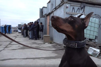 В Шушарах прошел рейд по стройкам с участием спецназа