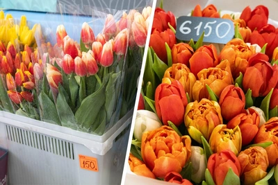 Обзор цен на цветы к 8 Марта в Ярославле