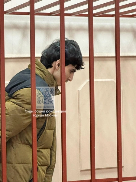 Источник: Суды общей юрисдикции города Москвы