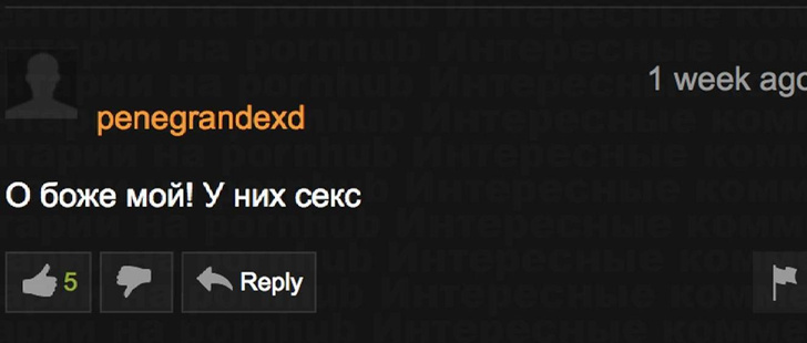 Самые смешные и остроумные комментарии с Pornhub