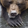 userpic__Странник