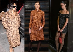 «Тигр» сместит «леопарда» в 2026 году