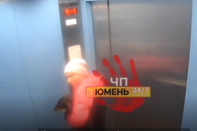 Видео избиения таксы тюменкой в лифте вызвало резонанс